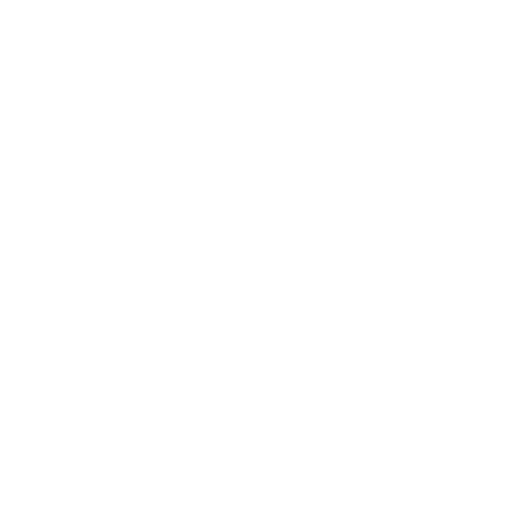 wordpress-web-site